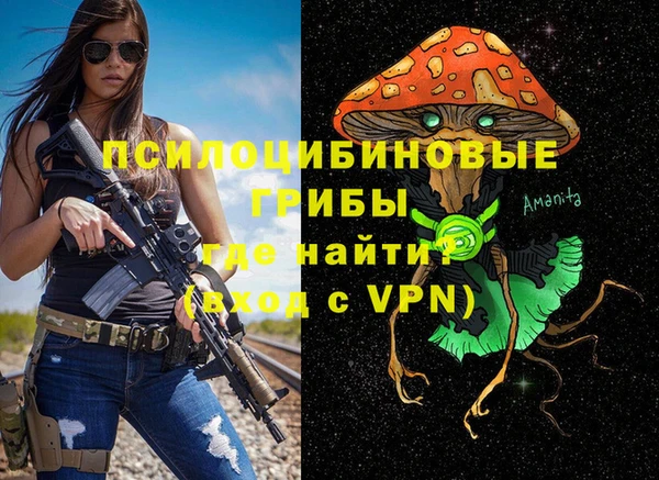 MDMA Premium VHQ Каменногорск