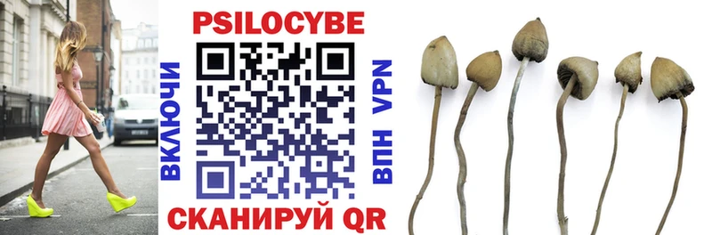 Псилоцибиновые грибы Psilocybine cubensis  Купить закладки  Уварово 